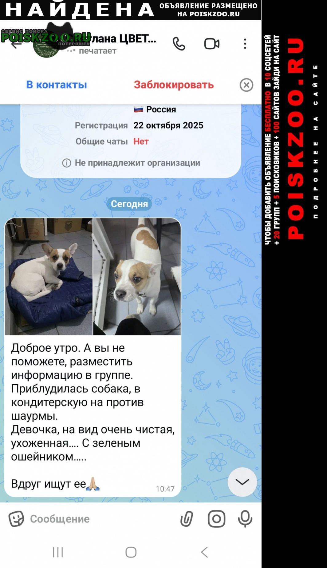���� ������� ������, ���. �������