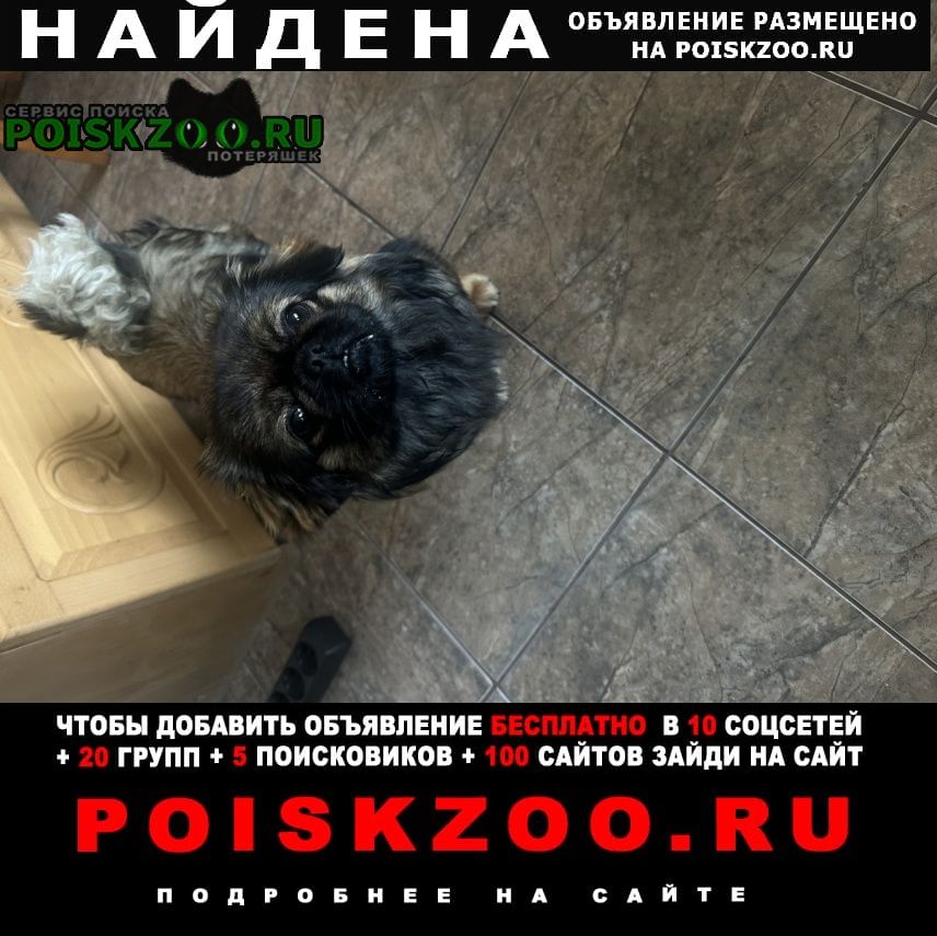 ���� �������� ����� ������ � ������ ������� ����