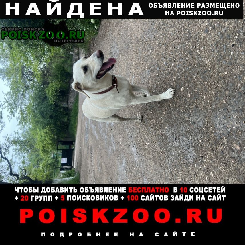 ���� ������� ������ ������ ����� �������