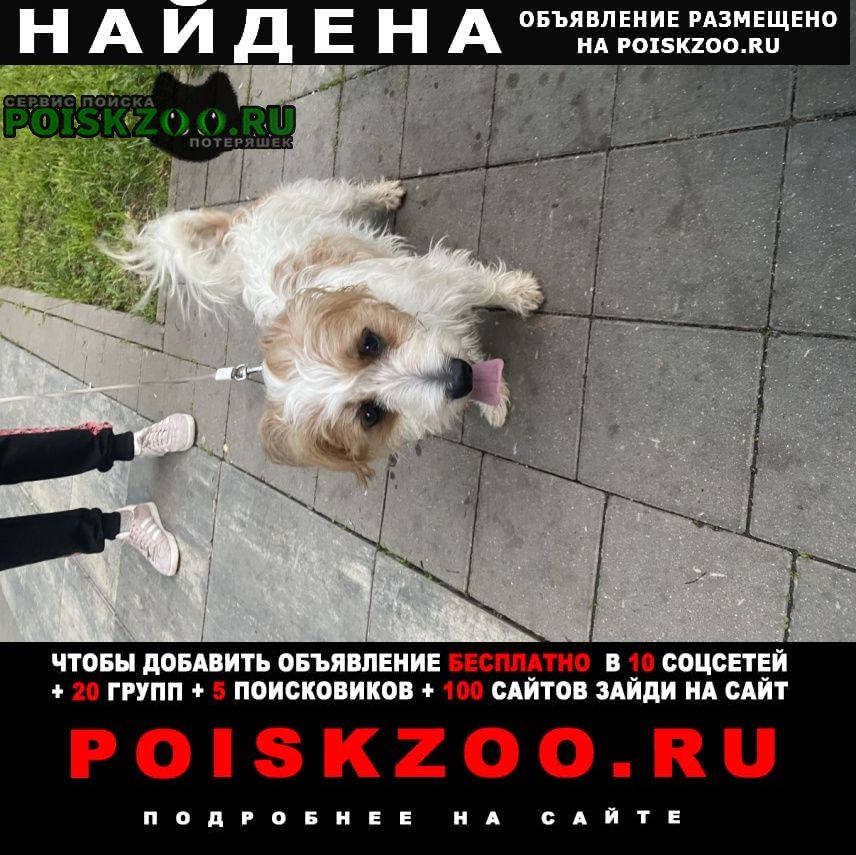 ���� ������� ������ ������ 30 ���, � 19:00 ��������� ������ �� ���
