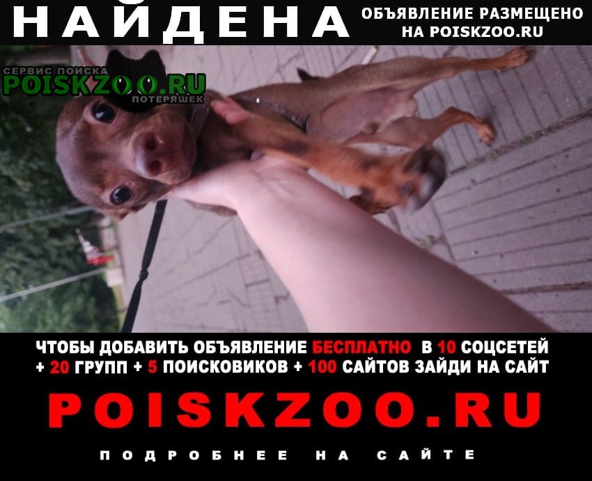 ���� �������� ����� �� � ������ ��. ����������