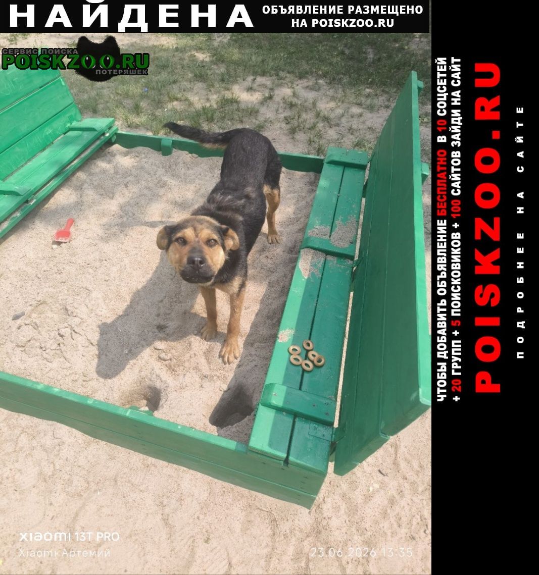���� ������� ������ ������������ ������