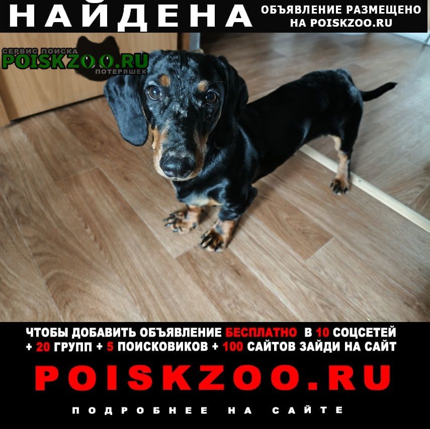 ���� ������� ������ ������. � ��������� ������ �����