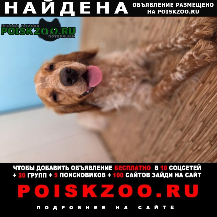 ���� ������� ������ ������