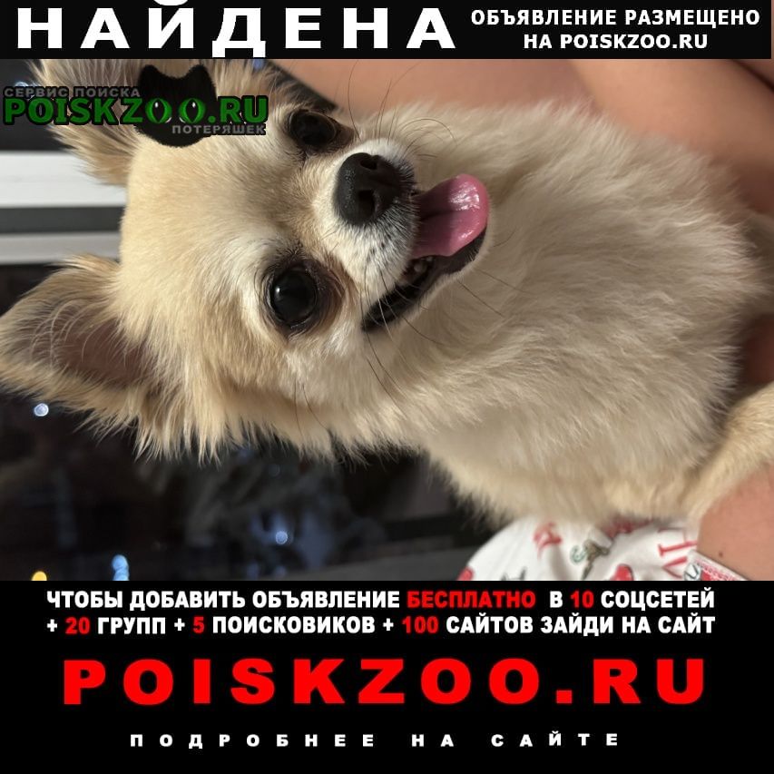 ���� ������� ������ ������ �������� �������