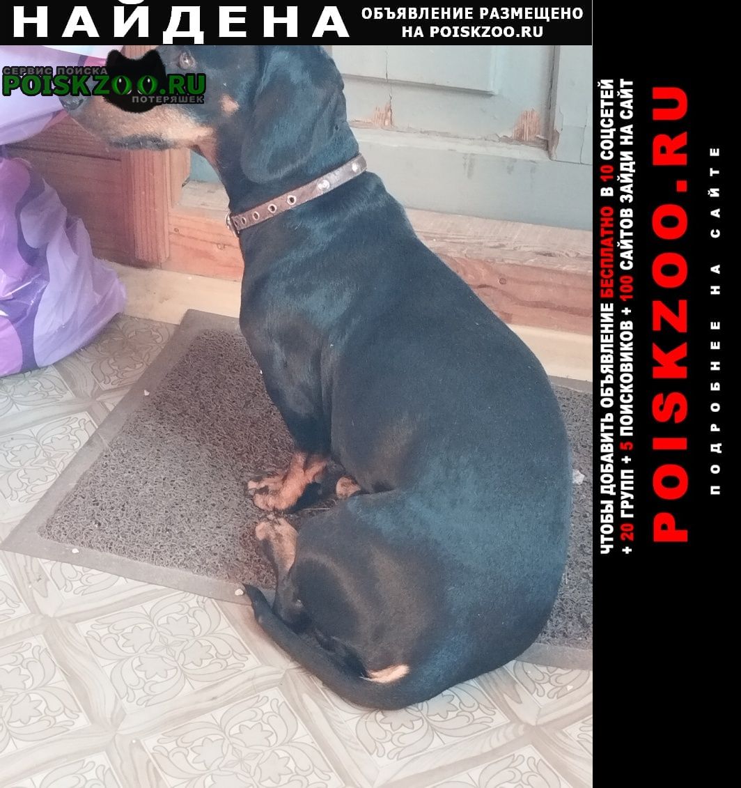 ���� ������� ������ ������ ����� ����� 10 �� �������