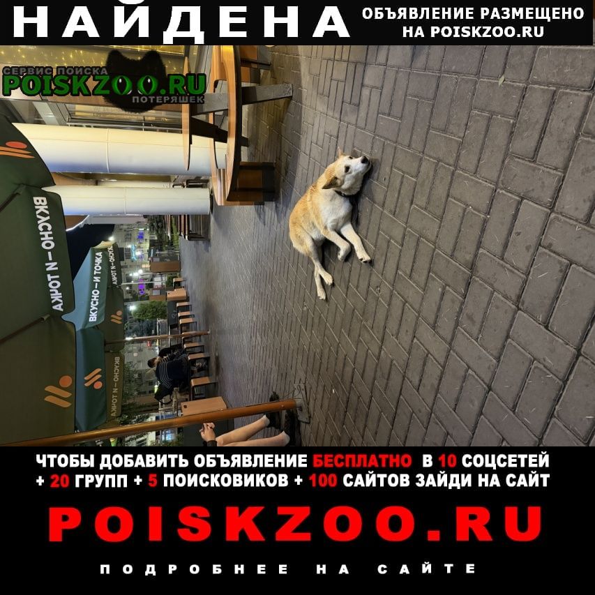 ���� ������� ������ ������ ������ � �����, � ���� � 14 �� 15 ����