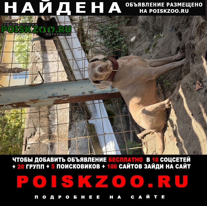 ���� ������� ������ ��� 2-� ���� ����