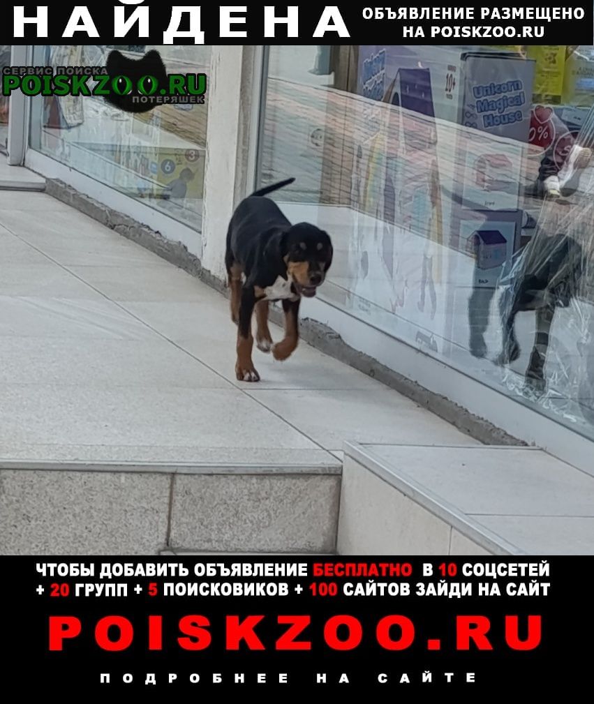 ���� ������� ������