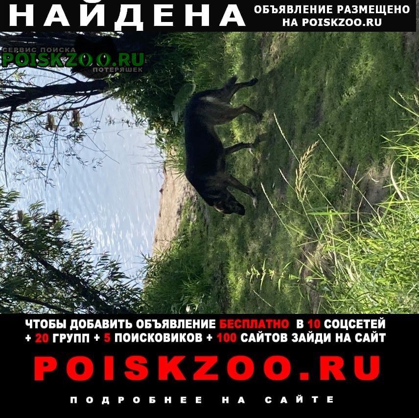 ���� ������� ������ ����� ���������