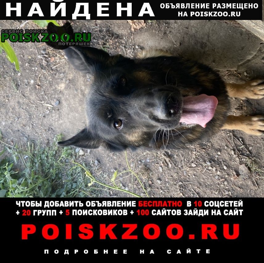 ���� ������� ������ ������� �������