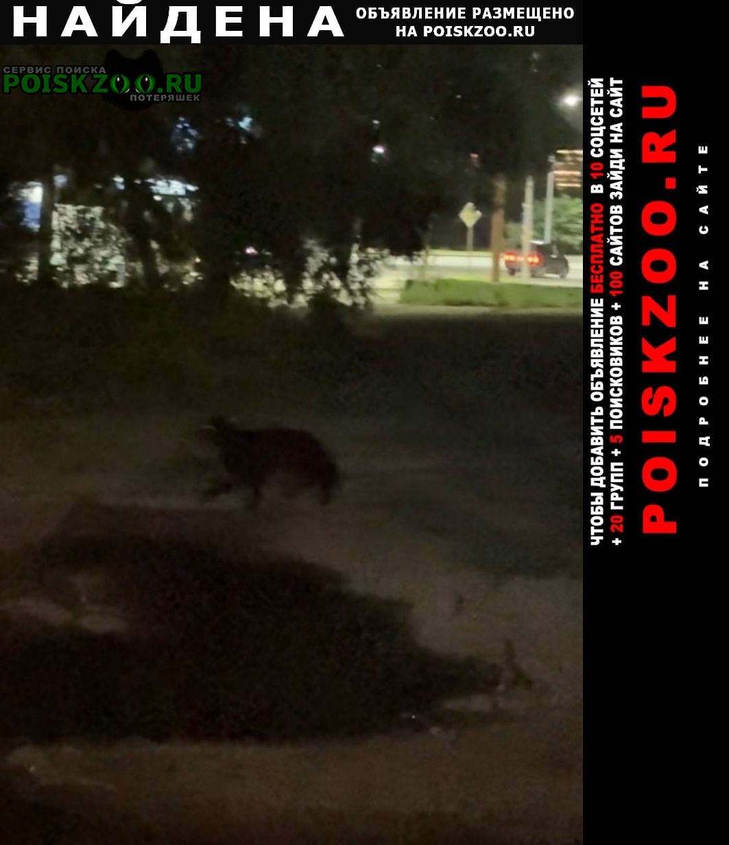 ���� ������� ������ 23:20 8 ���.