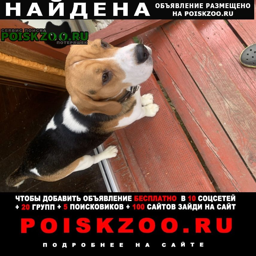 ���� ������� ������ ������ �����