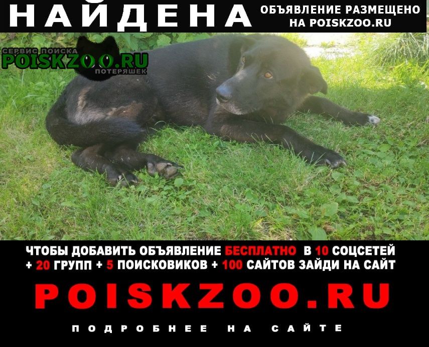���� ������� ������ ������ 18. 08