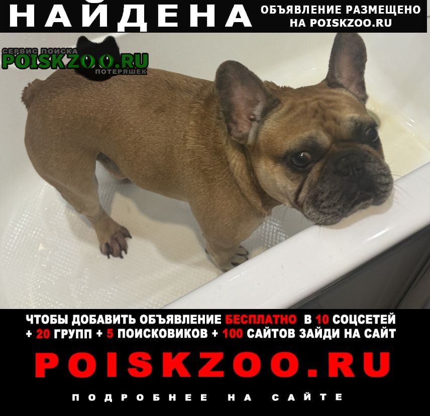 ���� ������� ������ ������ �������