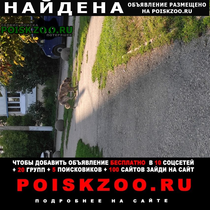 ���� ������� ������ �� ���������� ������ � �����