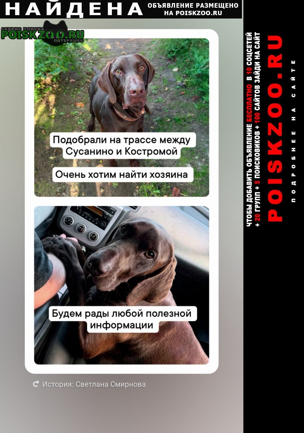 ���� ������� ������ ������