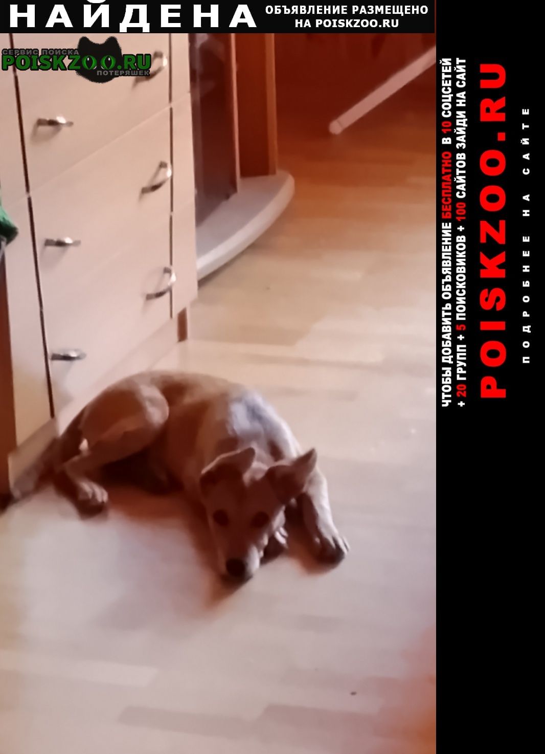 ���� ������� ������ ����� �������, �������