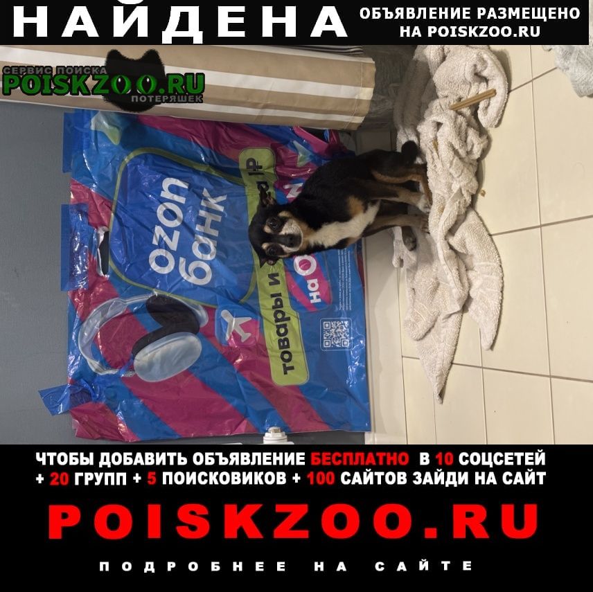 ���� ������� ������ ������ ��������