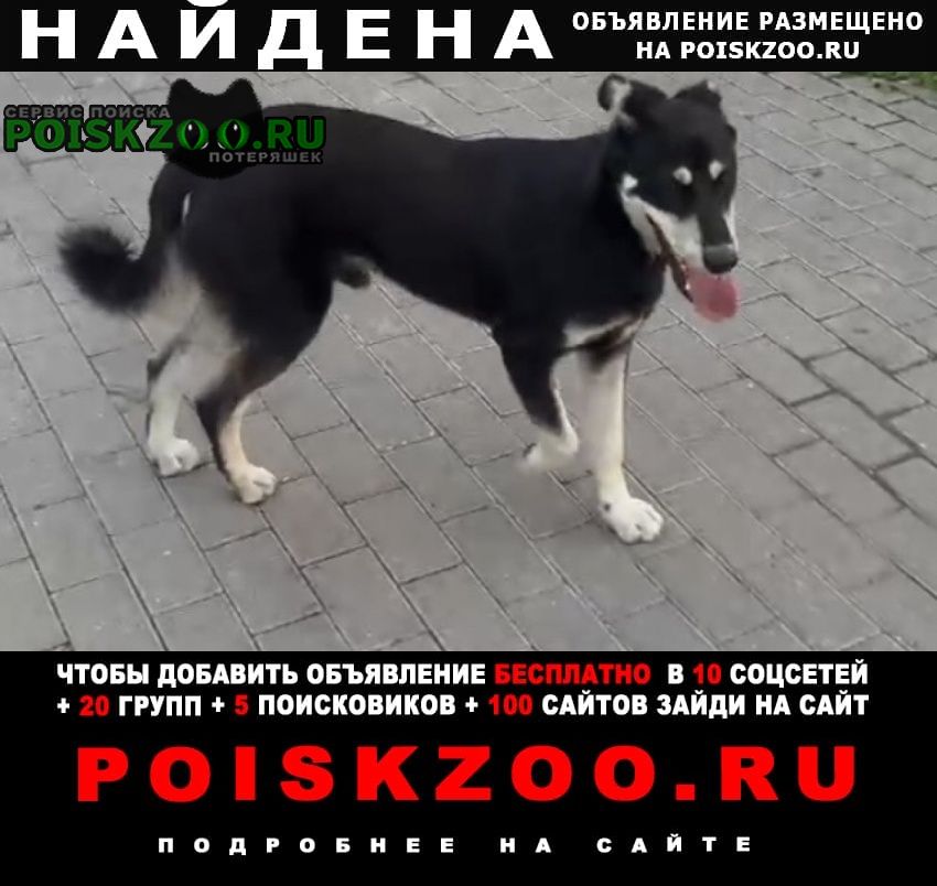 ���� ������� ������ ������ ���������