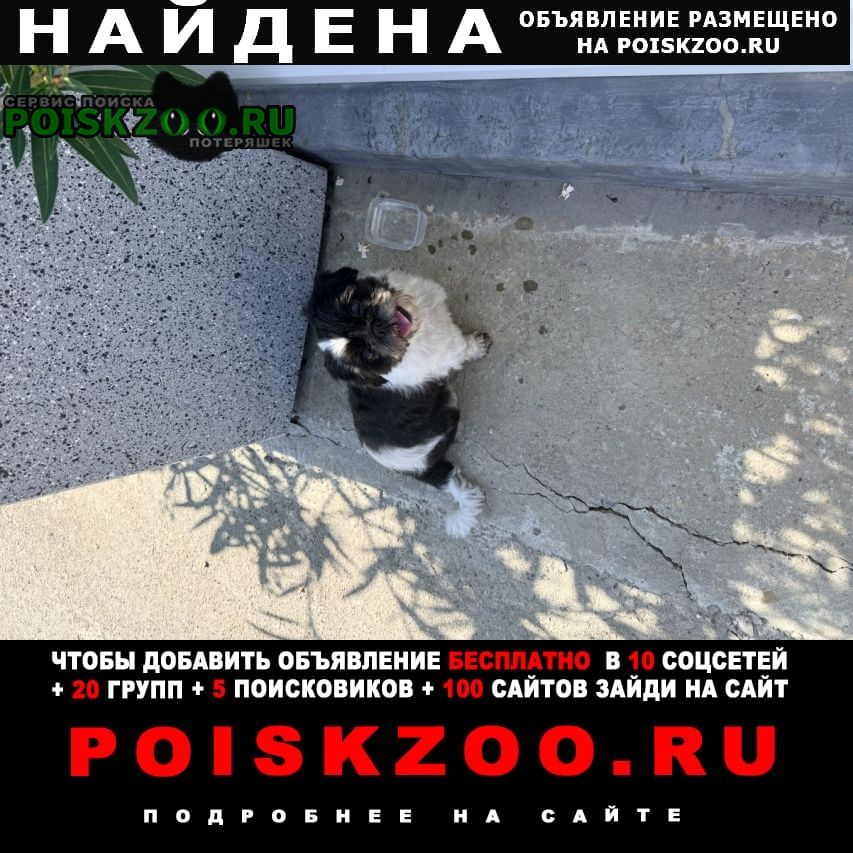 ���� ������� ������ ��������, ��� ��������