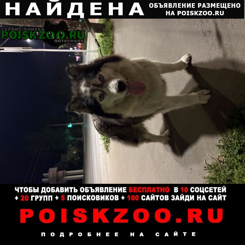 ���� ������� ������ ������� ����� � ������� ��������