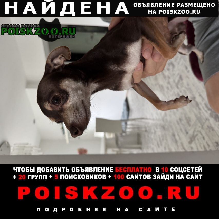 ���� ������� ������ ������ ������ �� ��� �������