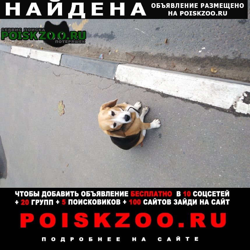 ���� ������� ������