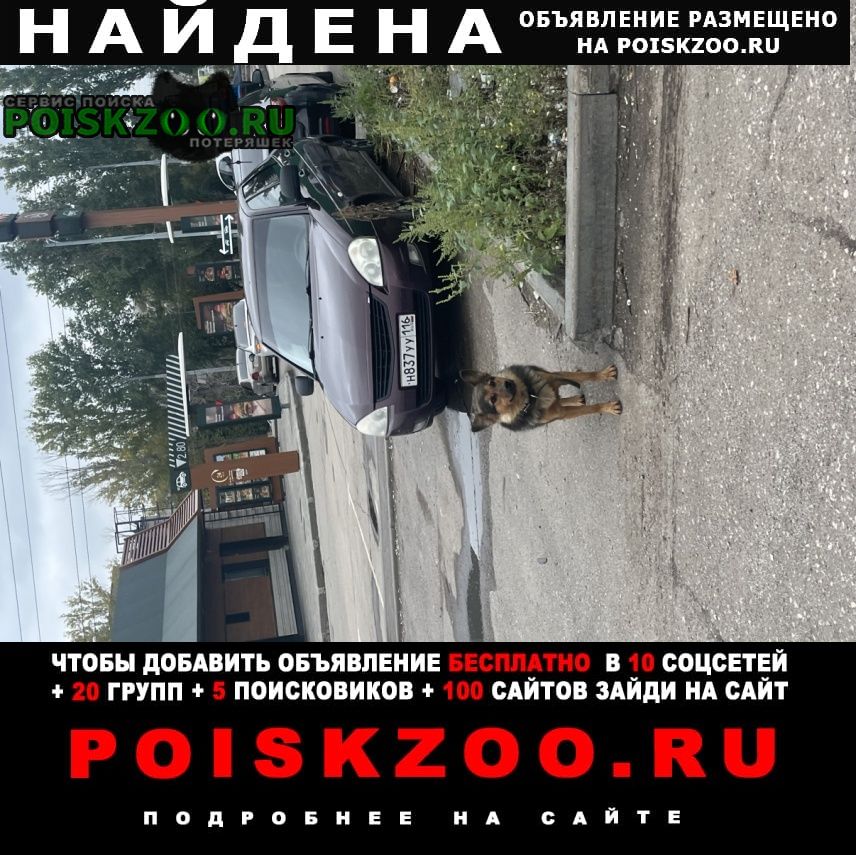 ���� ������� ������ ������ � ���������