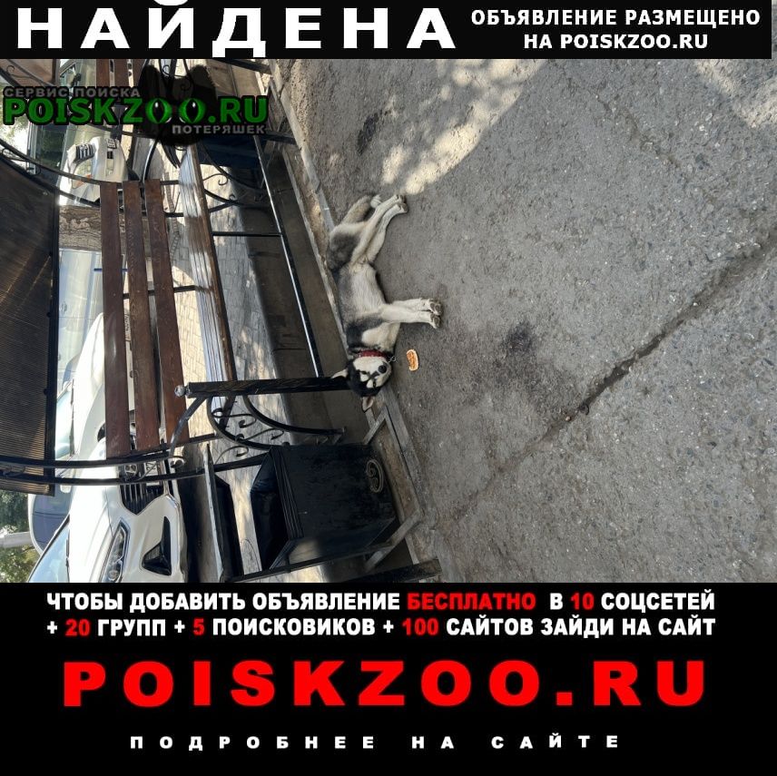 ���� ������� ������ ������ ����������
