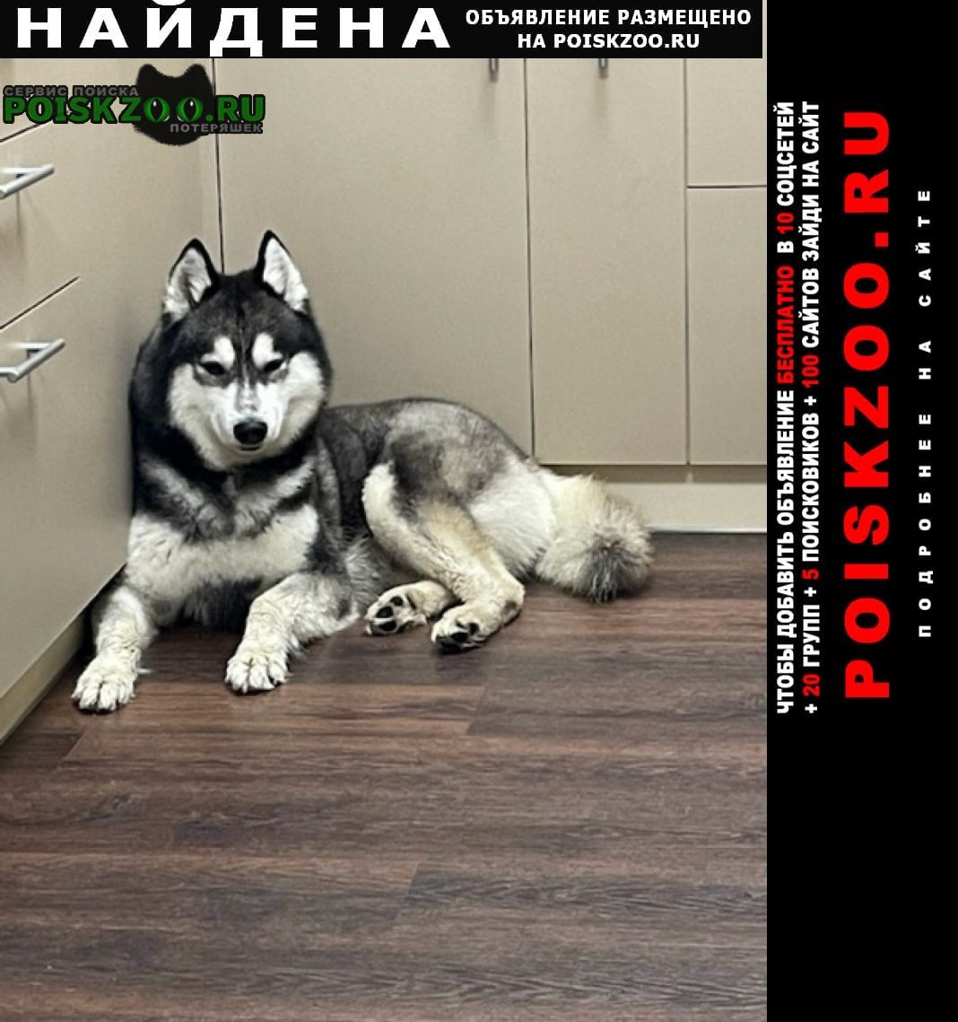 ���� ������� ������ ������ �����