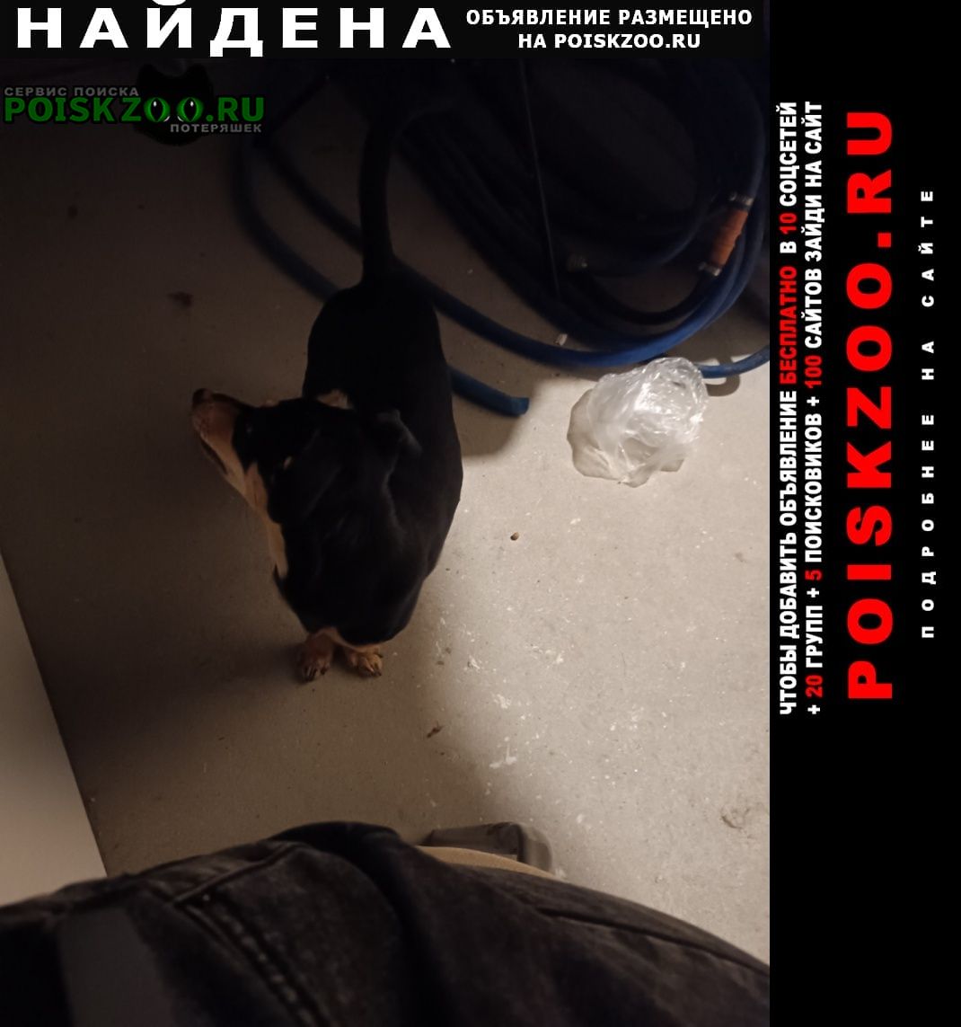 ���� ������� ������ ������ ������ �� �����