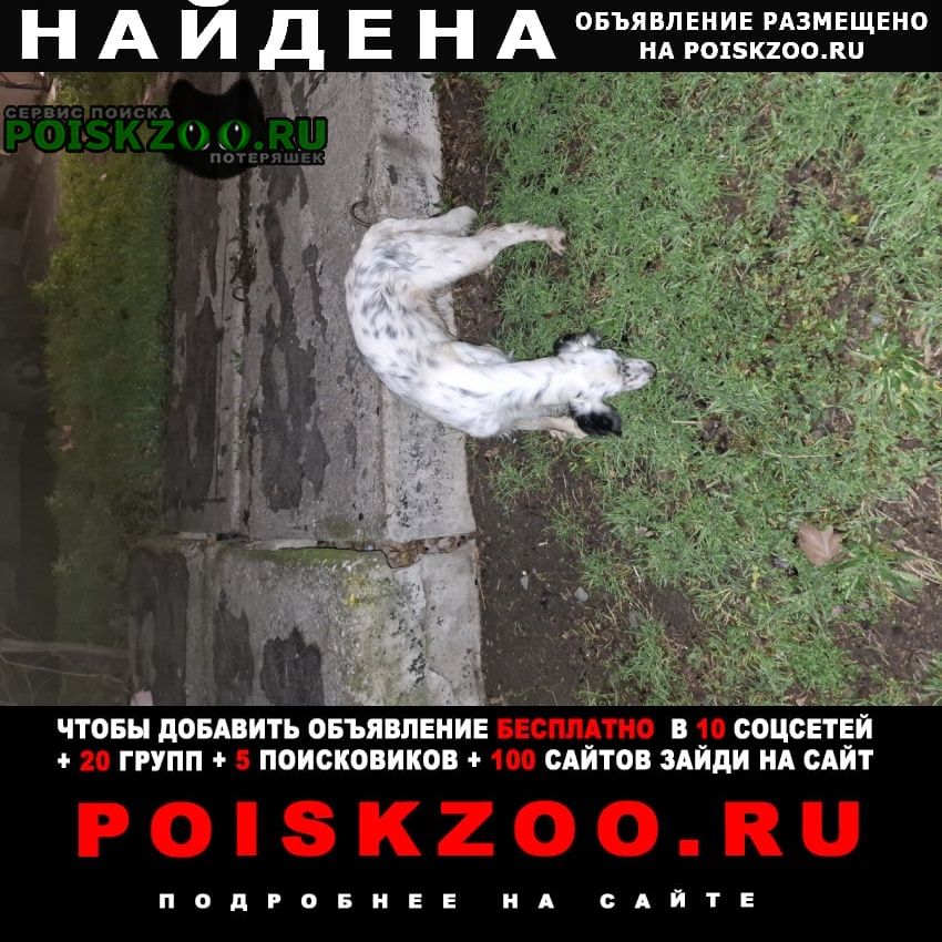 ���� ������� ������ ������ ���������� ������