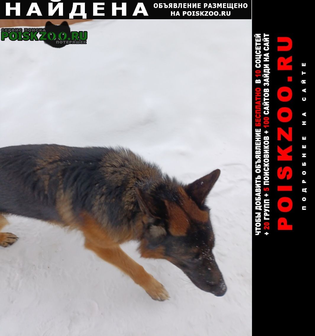 ���� ������� ������ �����������, ��� �������?