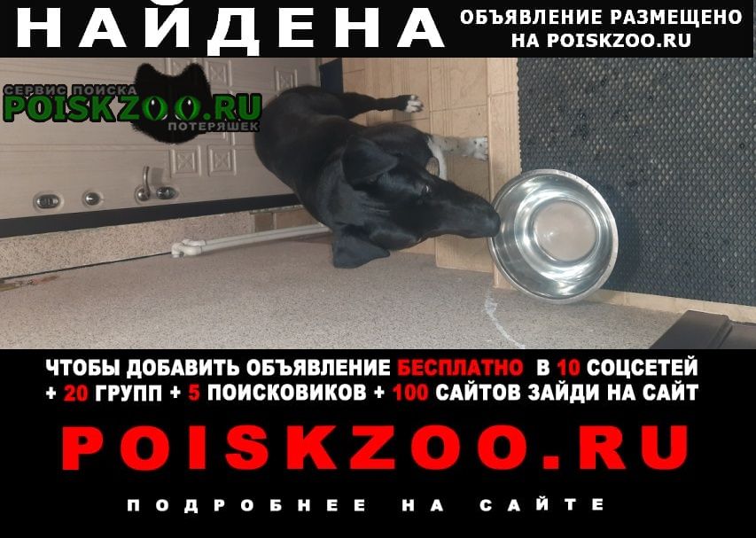 ���� ������� ������ �������, �����-����� �����, ������� ����