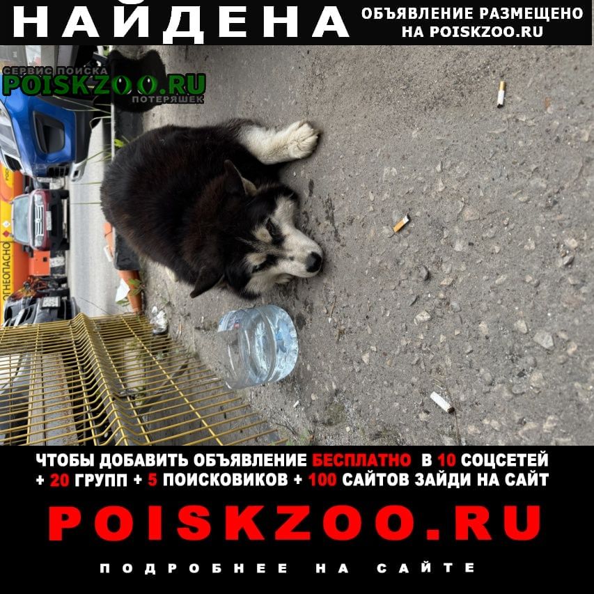 ���� ������� ������ ��������, �������������� ������ 5