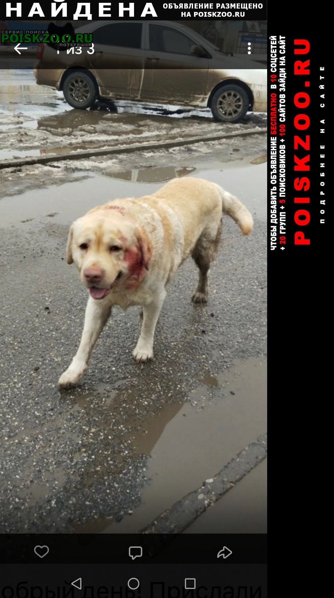 ���� ������� ������ ������