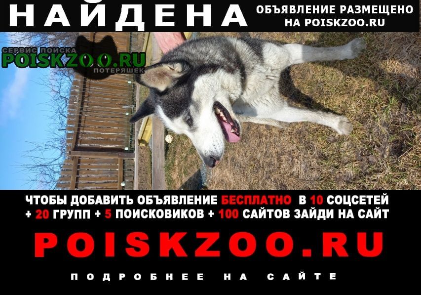 ���� ������� ������ ������ �����