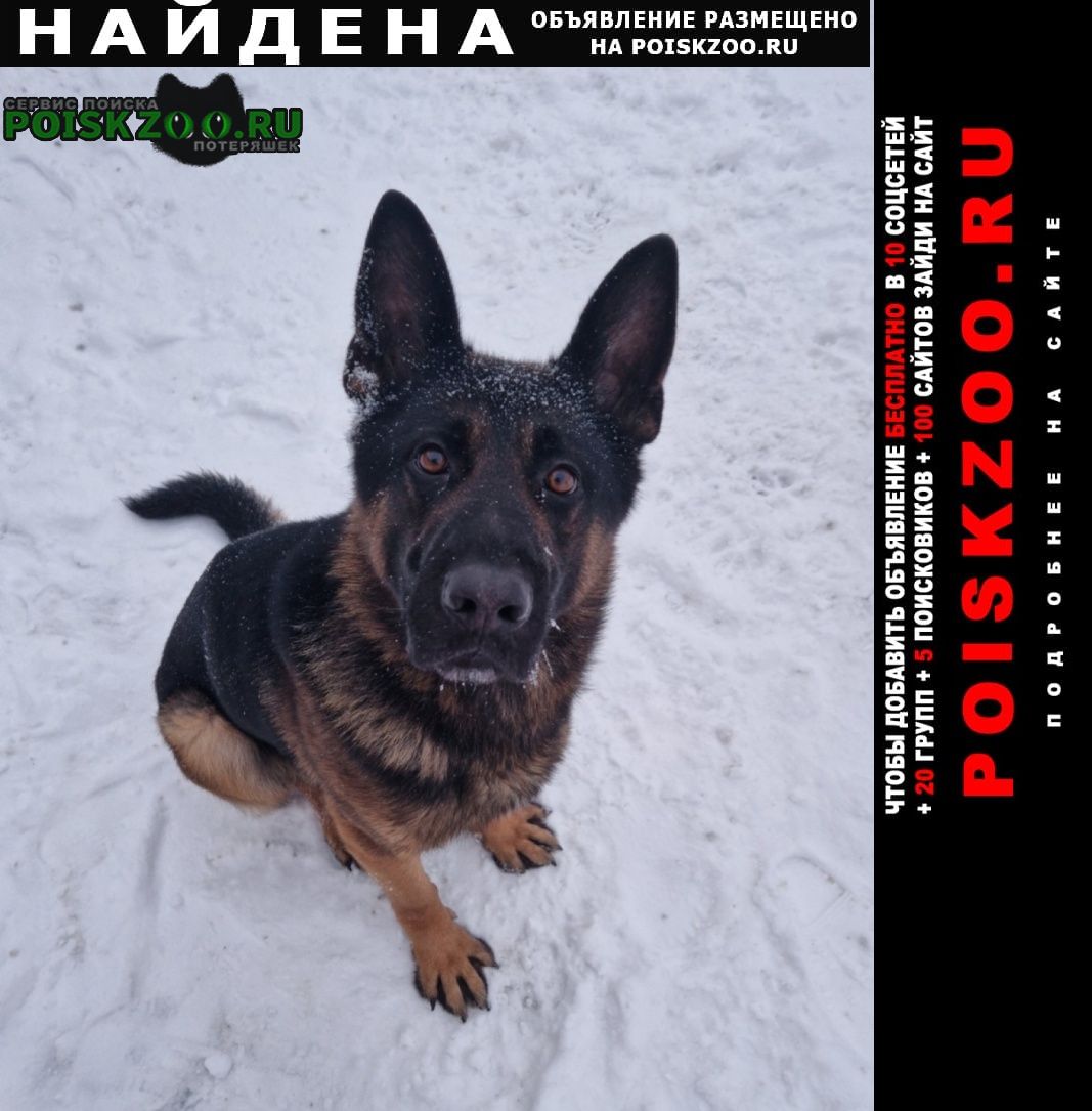 ���� ������� ������ ������