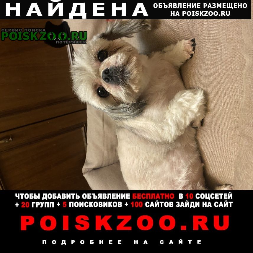Москва Найдена собака на подольских курсантов девочка.