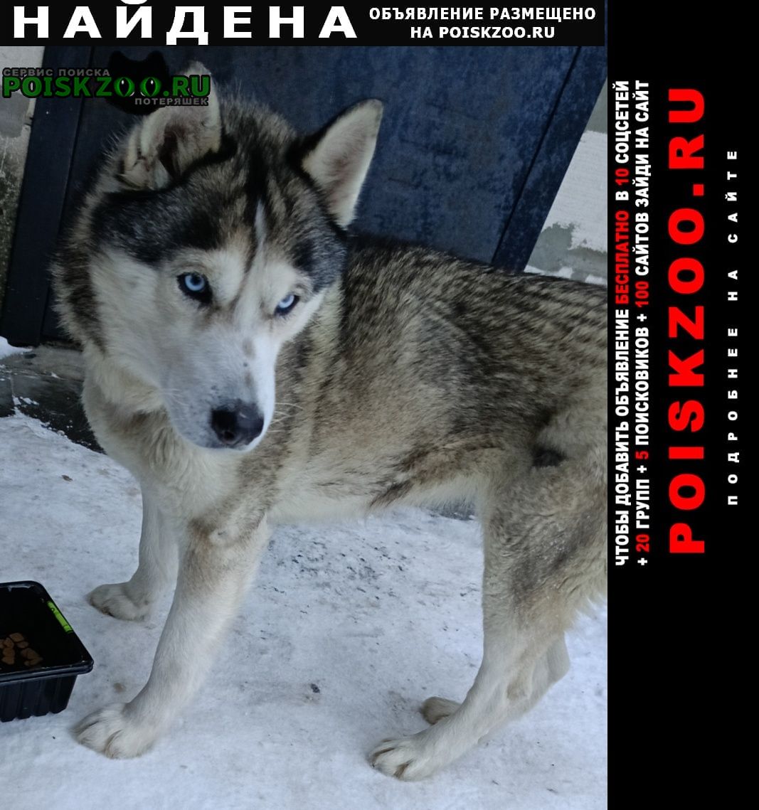 ���� ������� ������ ������