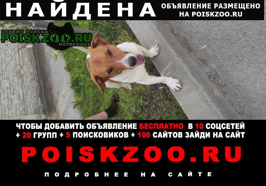 ���� ������� ������ ������ ������� �������