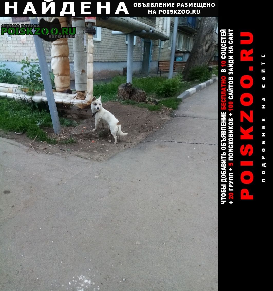     20. 05. 2025 
