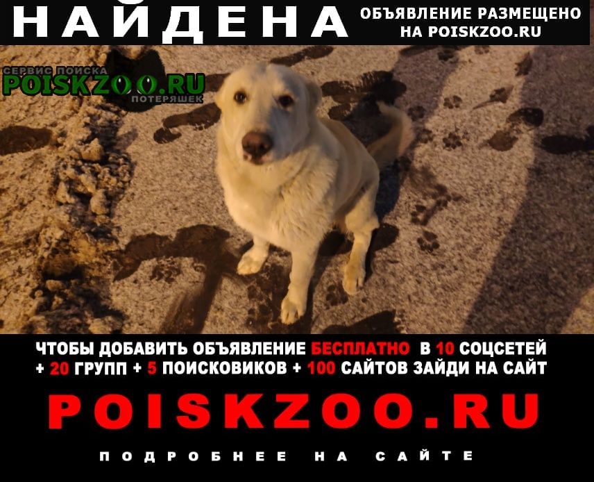 Найдена собака кобель метро кузьминки Москва