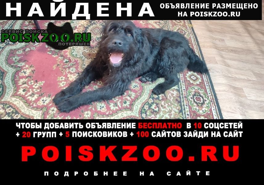 Найдена собака кобель Кондрово