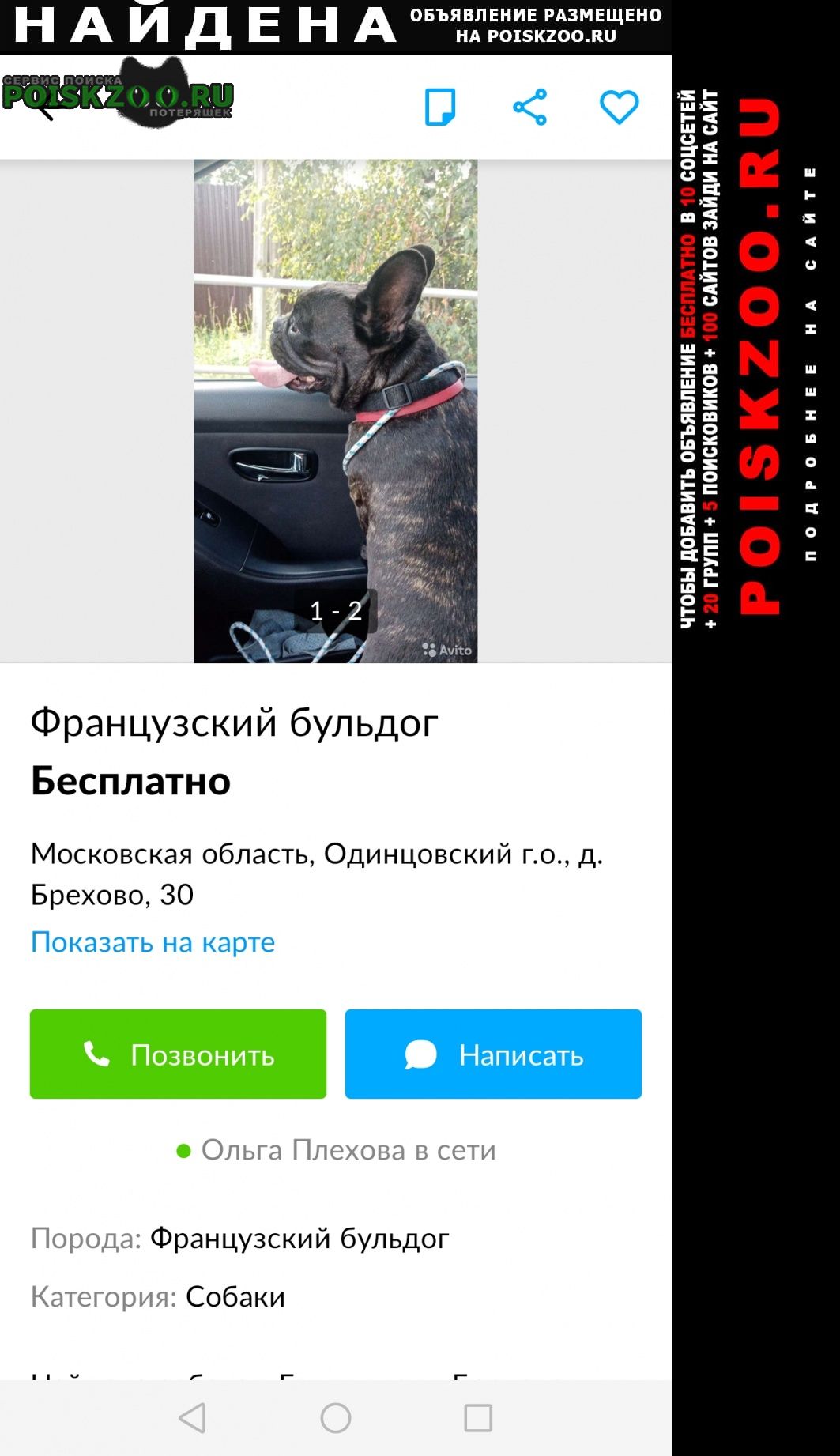 Найдена собака Одинцово