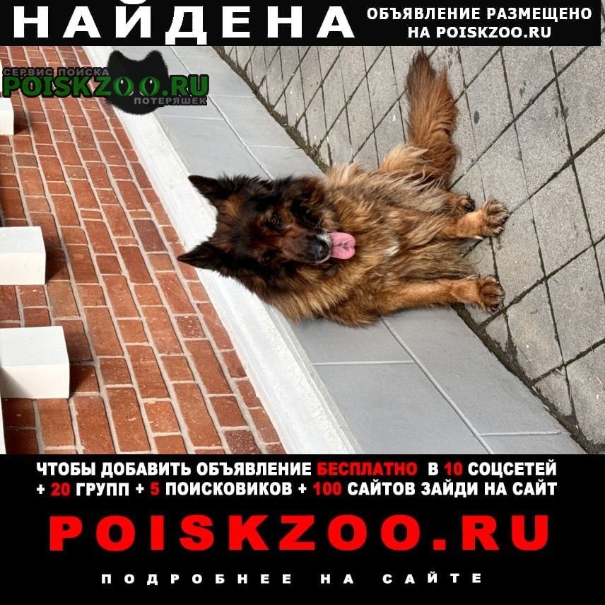 ���� ������� ������ ������� � ��������