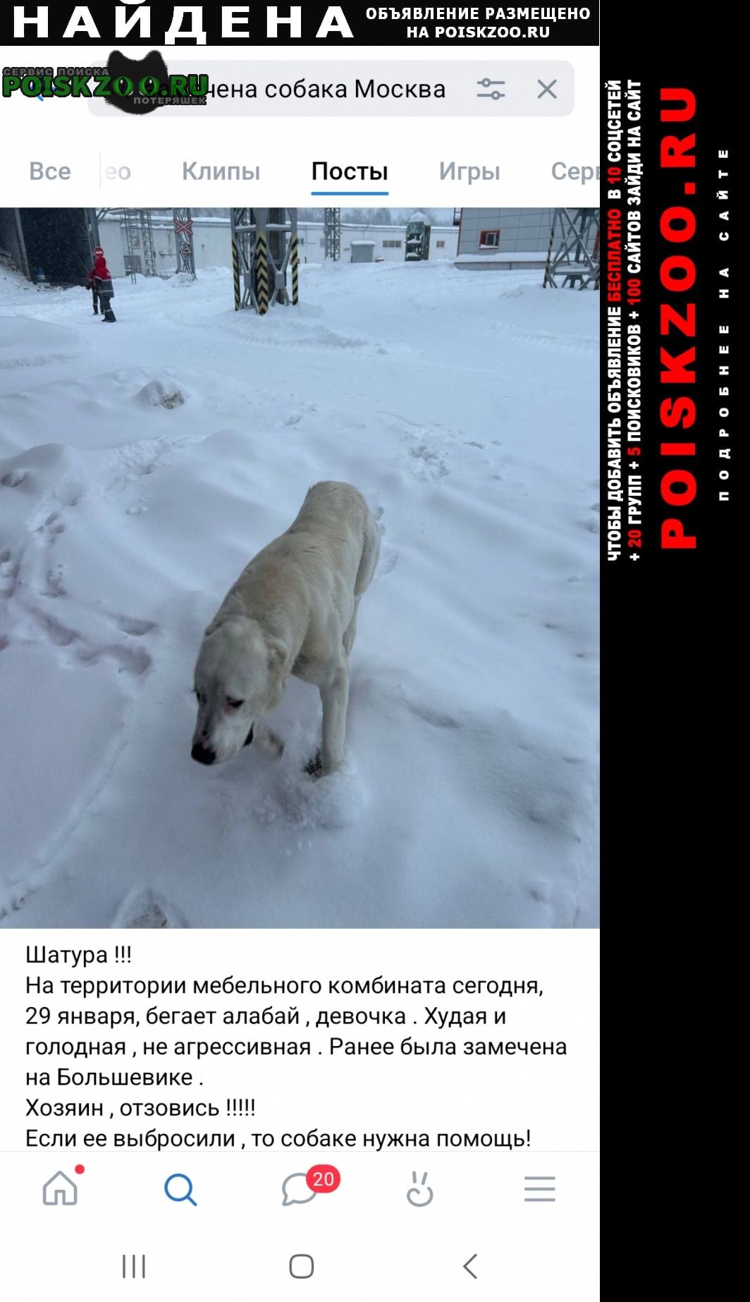 ���� ������� ������ ��� /������/