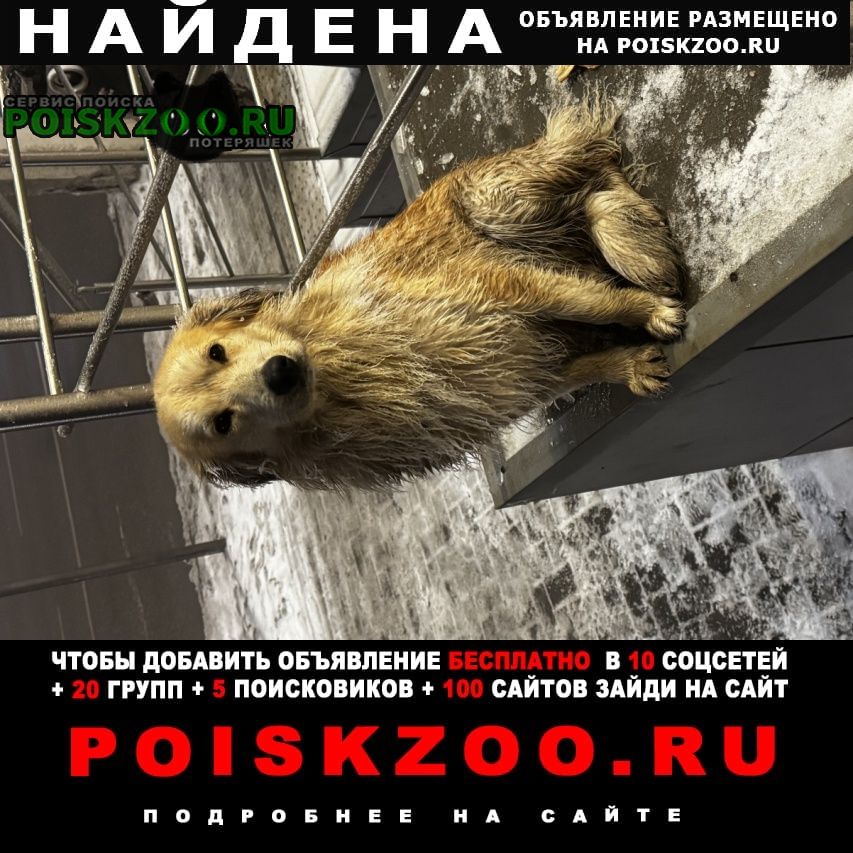 ���� ������� ������ ���������� �������� ���������