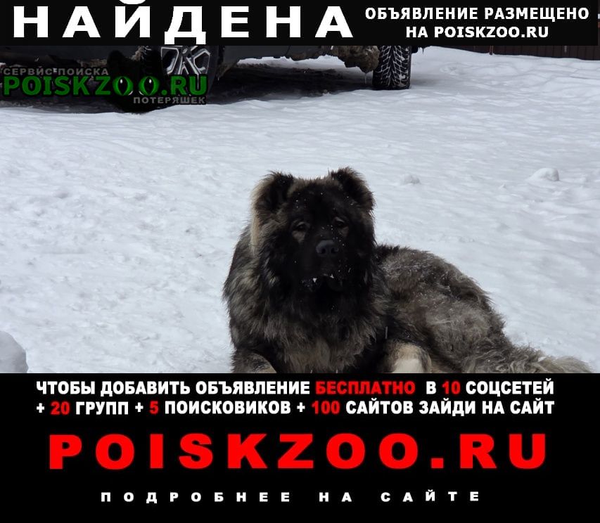 ���� ������� ������ ������ ���������� �������